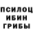 Псилоцибиновые грибы GOLDEN TEACHER Uchral Channel