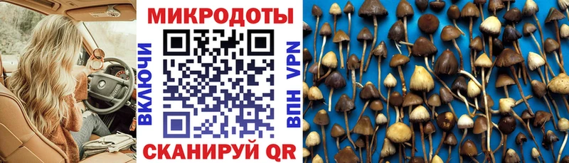 Псилоцибиновые грибы мухоморы  Смоленск 