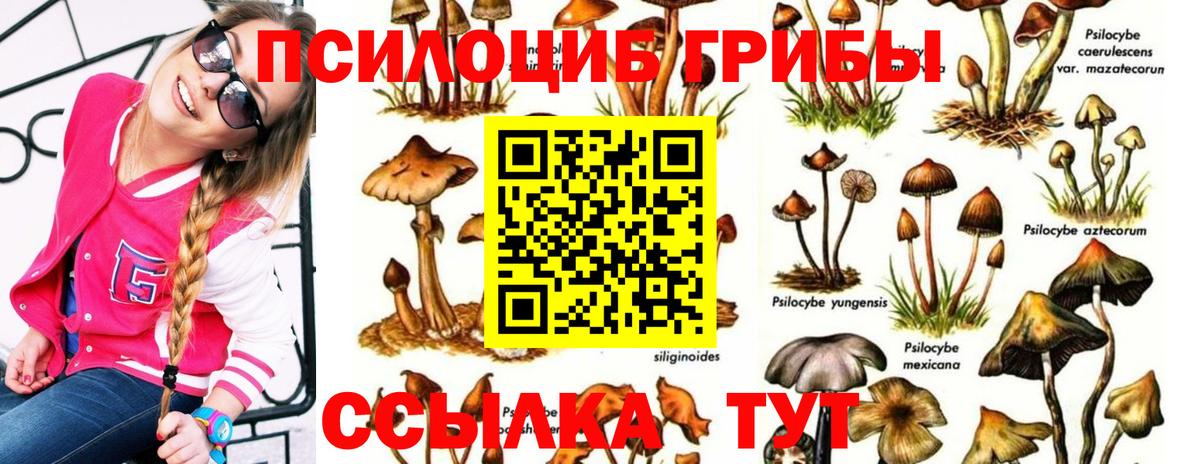 Псилоцибиновые грибы Cubensis Смоленск