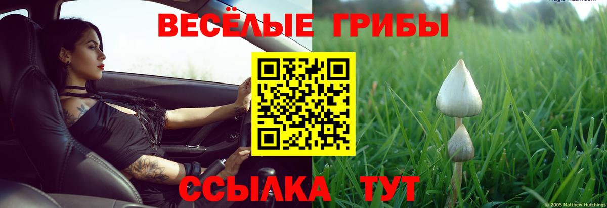 Смоленск  где найти наркотики  Вход с VPN  Псилоцибиновые грибы Psilocybine cubensis 